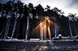 Sunburst on Rialto Beach-2389 Sunburst on Rialto Beach-2389